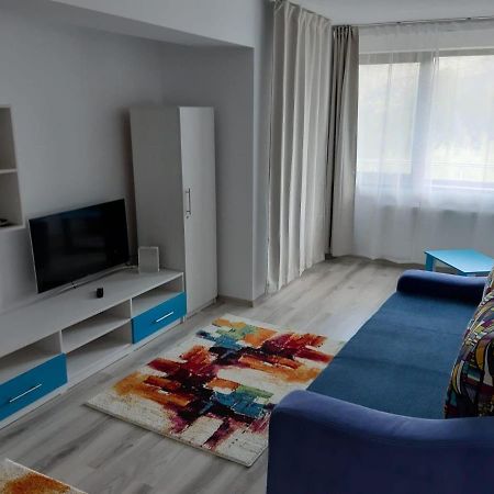 Apartmán Dorin Colina Marei Sinaia Exteriér fotografie