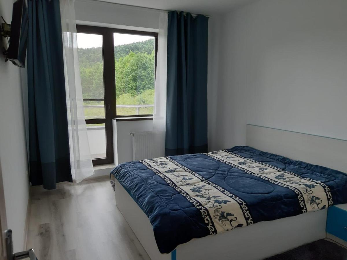 Apartmán Dorin Colina Marei Sinaia Exteriér fotografie